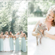 Cuccioli al posto dei bouquet. Il servizio del matrimonio è un concentrato di tenerezza