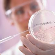 Dalla UE il no ai cosmetici testati su animali

