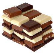 Le sottospecie di Cacao (Theobroma cacao)
