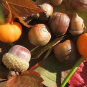 L'autunno