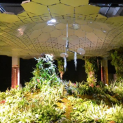 Un parco sotterraneo nel deposito della metro. New York progetta la Lowline