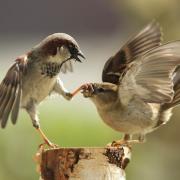 15 foto scattate esattamente nel momento giusto!