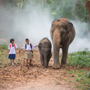 A scuola con gli elefanti. La routine di due bambini thailandesi