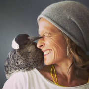 "Penguin Bloom". La gazza ladra che ha riportato la gioia a casa Bloom