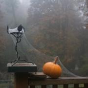 Sai decorare la zucca di Halloween? Ecco alcune dritte!
