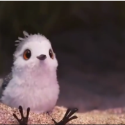 Ecco Piper, il dolcissimo pulcino che ha conquistato il cuore degli spettatori