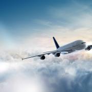 Rissa in volo con atterraggio imprevisto