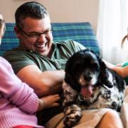 Anche i cani nell'accordo per il mantenimento dopo la separazione
