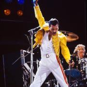 Freddie Mercury.  Forse non sapevi che...