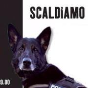 Scaldiamo la cuccia: l'iniziativa a favore dei cani poliziotto