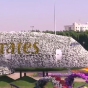 L'aereo floreale degli Emirati entra nel Guinnes
