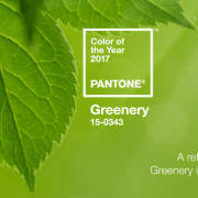 Greenery è il colore del 2017: ecco la scelta di Pantone
