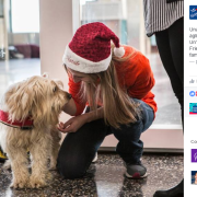 Pet Therapy a Malpensa contro l'ansia da volo