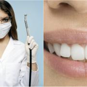 Paura del dentista? Esiste un farmaco che rigenera i denti senza bisogno di otturazioni