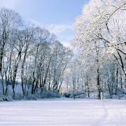 La neve cura