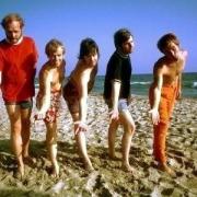 I Beach Boys avrebbero detto sì a Trump