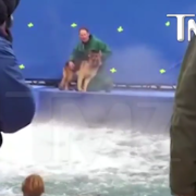 Il cane è terrorizzato dalle acque tempestose. A salvarlo, l'American Humane Association 