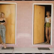 Elliott Erwitt Kolor
