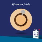 Collarino per il cane 