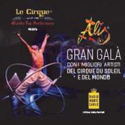 GIANPIERO GARELLI Show Director di “Le Cirque World's Top Performers”
