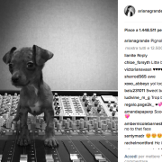 Il nuovo cucciolo di Ariana Grande fa impazzire il web