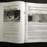 Dossier: Crudeltà Sugli Animali (Parte 2)
