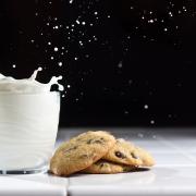 Risveglia il metabolismo con il latte d’asina
