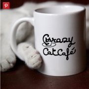  HAPPY TOGETHER: l'iniziativa di Feliway e Crazy Cat Cafè  