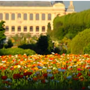 Ammira lo straordinario Jardin des Plantes di Parigi!