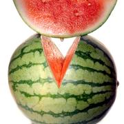  I cibi anti-caldo per alimentarci con salute e con gusto d’estate
