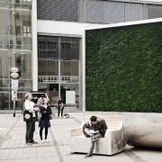 Ambiente: ecco il muro "verde" che ripulisce l'aria inquinata