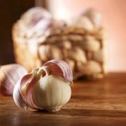 L’aglio contro le verruche