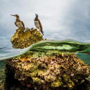 Museo Oceanografico:  viaggio in un sito paradisiaco
