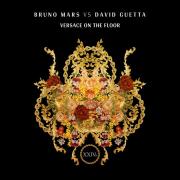 Versace on the floor (David Guetta Rmx)