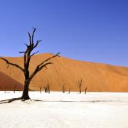 Dove si trova il posto più caldo al mondo?