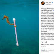 Emozionatevi con le foto più belle del Wildlife Photographer of the Year 2017
