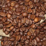Caffè addio? Nel 2050 potrebbe scomparire