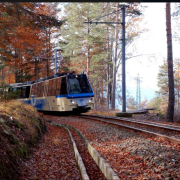 Tutte le emozioni uniche del trenino del foliage