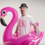 Fa sorridere (e fa riflettere): guarda il video dedicato al fenicottero
