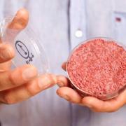 Sarà la carne sintetica il futuro della nostra alimentazione?