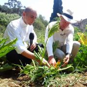 PAOLO SARI Bio Chef, Chefs love the Planet