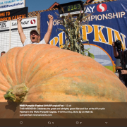 Tempo di Halloween? Ecco la zucca più gigantesca d'America
