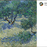 Ohibò: c’ è una cavalletta intrappolata in un quadro di Van Gogh!
