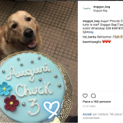 Arriva la prima pasticceria per cani