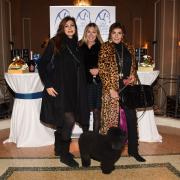 Sparkling V.I.P. – Very Important Pet