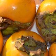 I cachi per depurarsi 