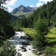 Ecco i viaggi in Italia... consigliati dalle stelle!