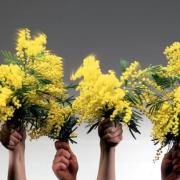 8 marzo: per la Festa della donna, Radio Monte Carlo è tutta al femminile!