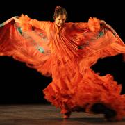 Dal Vivo  al Teatro Goldoni di Venezia