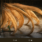 Emozionanti e indimenticabili: le foto del Sony World Photography
